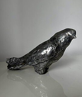 Gołąb, 2025