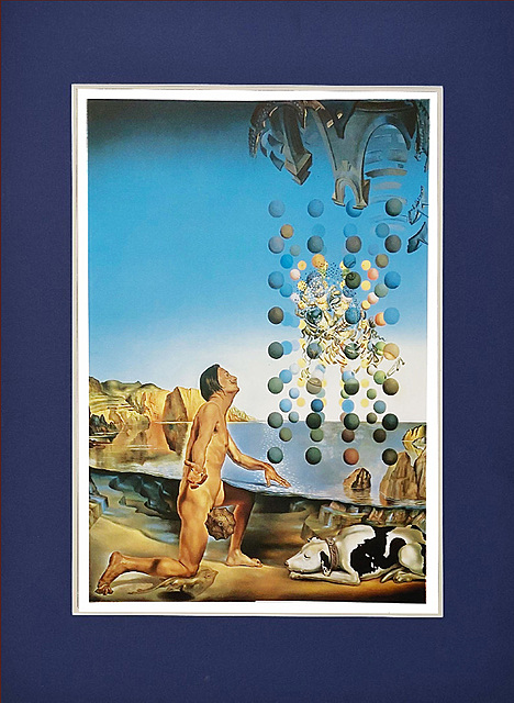 Dali Nude, in Contemplation
