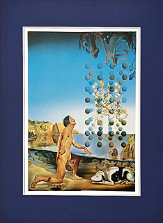 Dali Nude, in Contemplation