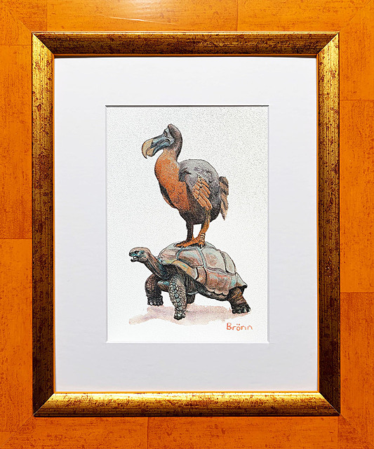 Dodo