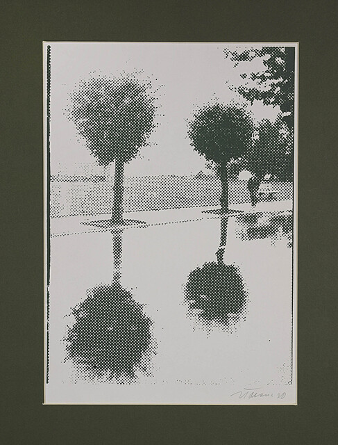 Kompozycja [Drzewa], 1990