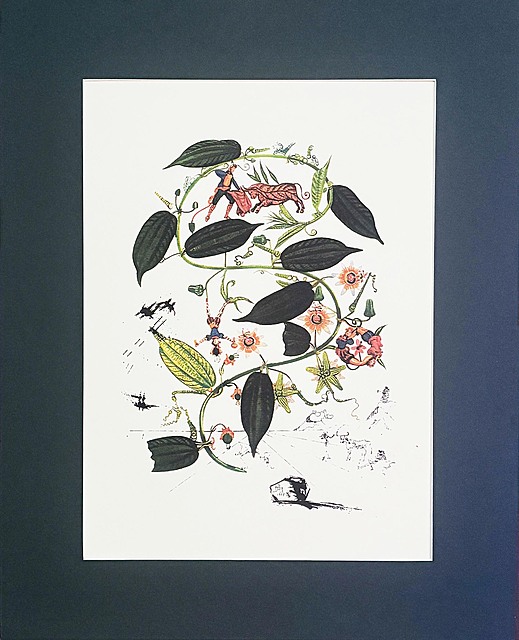 Passion Flower z cyklu Flordali, 1979