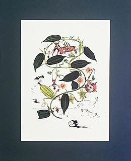 Passion Flower z cyklu Flordali, 1979