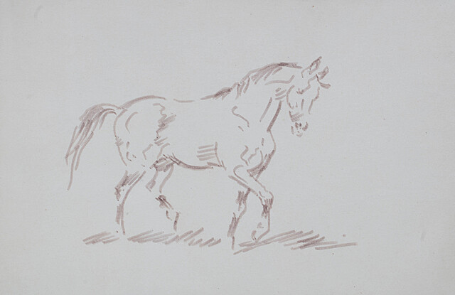 Koń, przed 1968 r.
