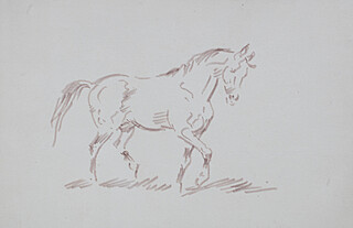 Koń, przed 1968 r.