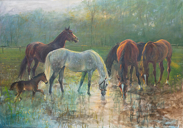 Konie, 1988 r.