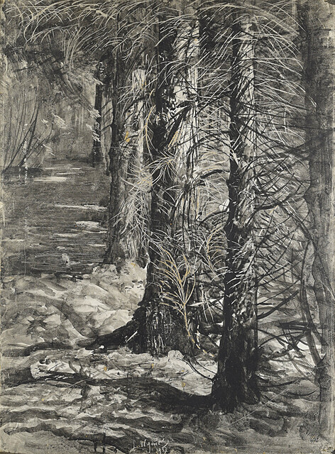 Wnętrze lasu, 1907