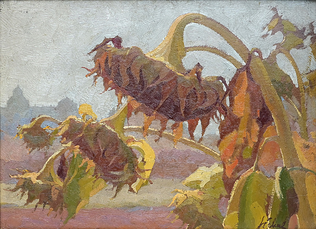Słoneczniki