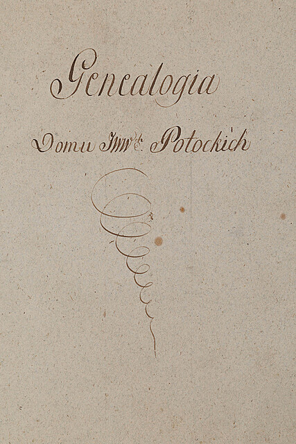 GENEALOGIA DOMU JWW. POTOCKICH, pocz. XIX w.