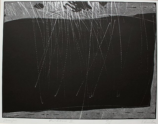 Exterior III(2003)