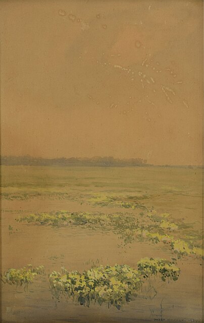 Kaczeńce, 1924