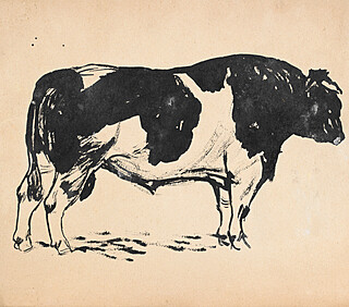 Krowa