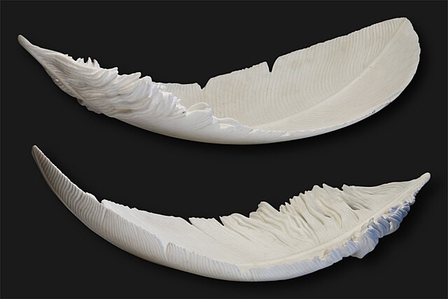 Feather