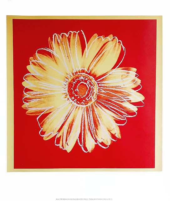 Daisy (stokrotka) z cyklu motywów kwiatowych