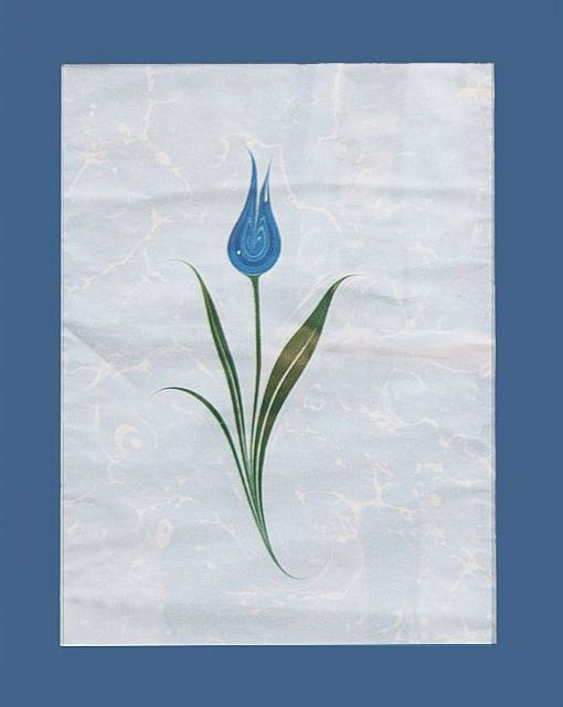 Tulipan na wodzie, 2014