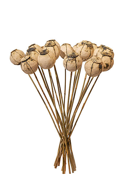 Kwiaty ceramiczne