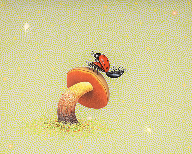 "Schylony grzyb" (2002)
