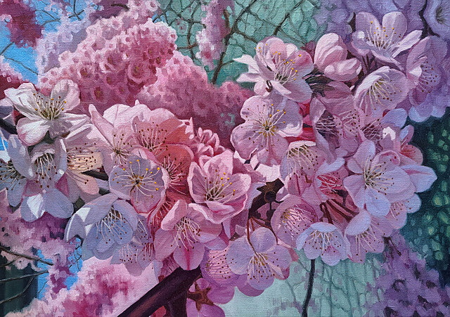 Sakura, 2026