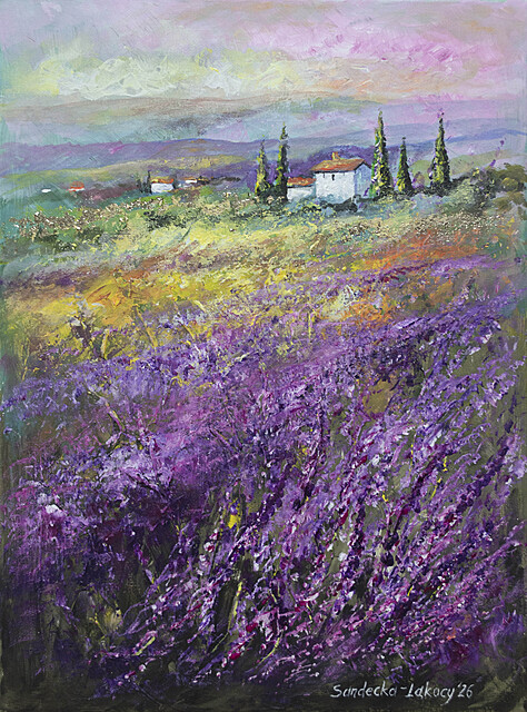 Lavender morning, 2026