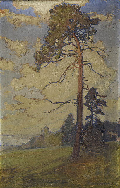 Sosna, 1923