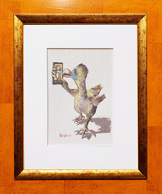 Dodo
