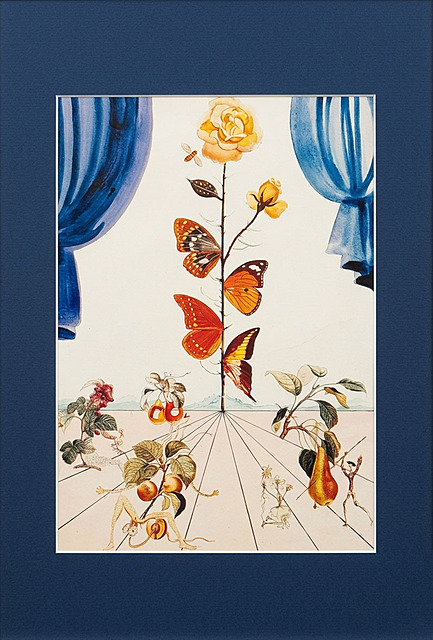 Flordali (Butterfly Rose)