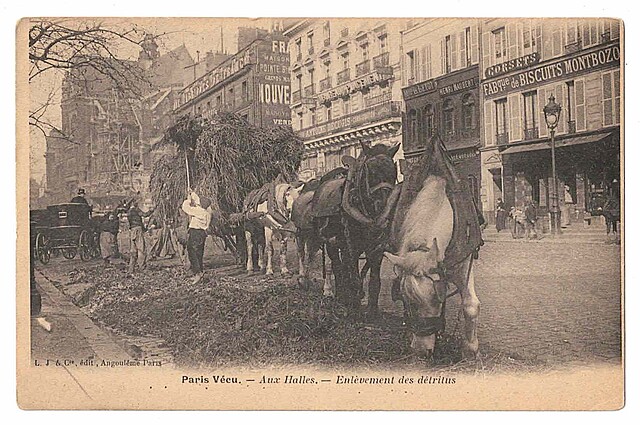 Paris Vecu