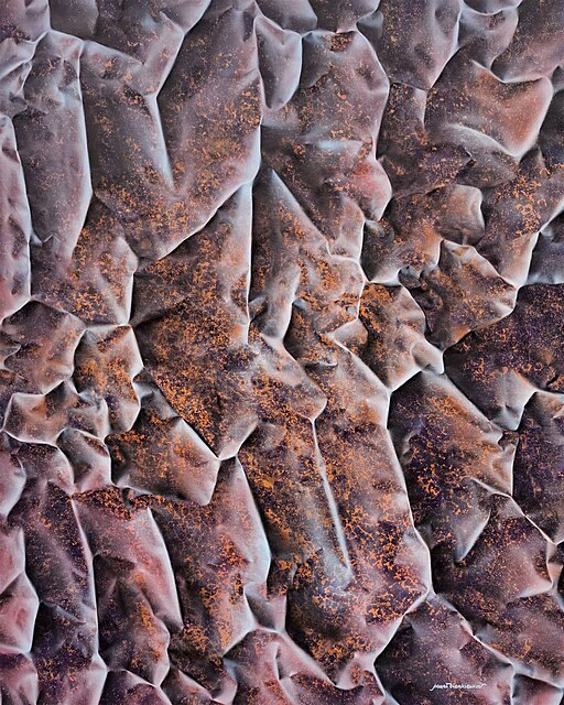 Crypthonis, z cyklu: "Atlas Ukrytych Światów", 2026