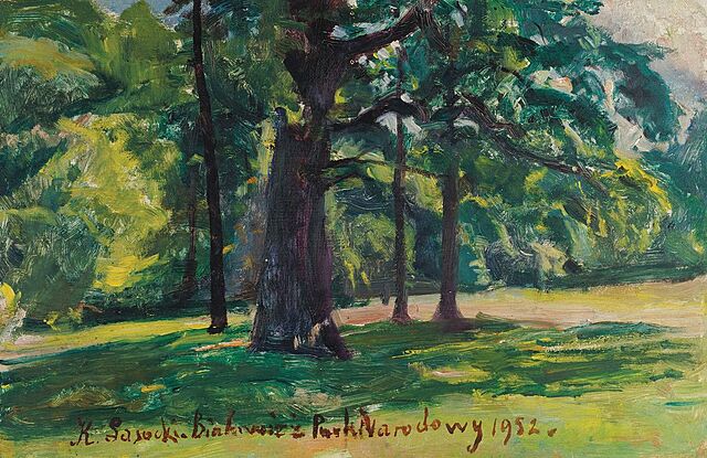 DĘBY W BIAŁOWIEŻY, 1952