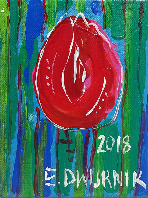 Tulipan, 2018