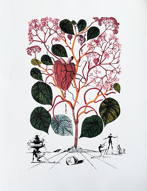 Viola Cogitas (Self-Portrait Pansy), z cyklu "Flora Dalínae (FlorDalí)"
