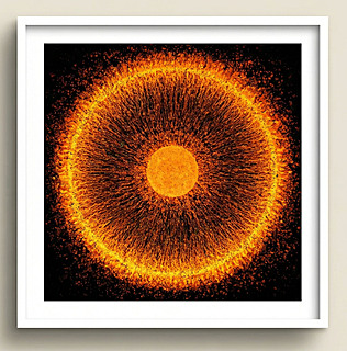 Einstein Ring