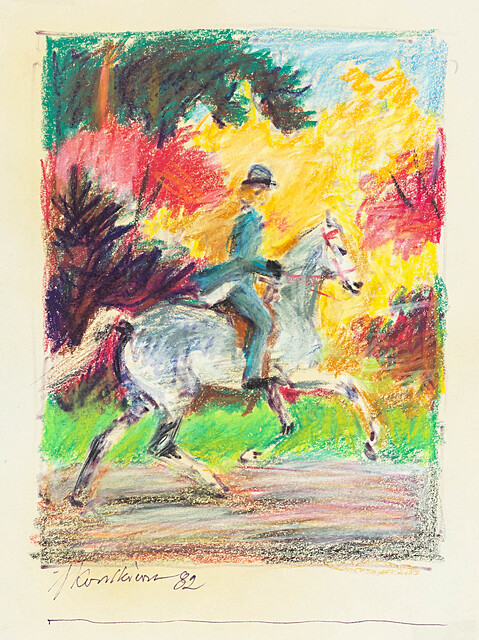 Amazonka, 1982