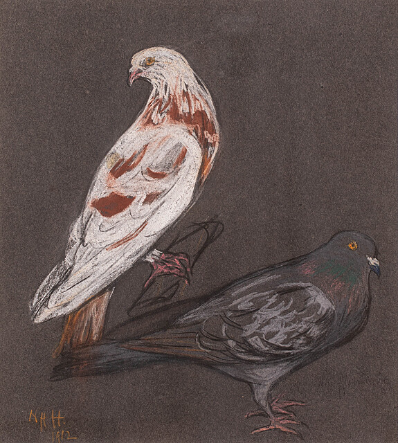 Gołębie, 1912