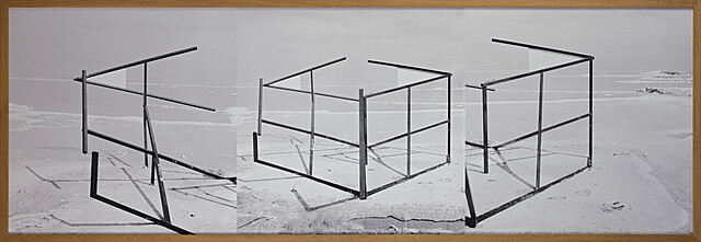 Klatka „Dead Sea”, 2015
