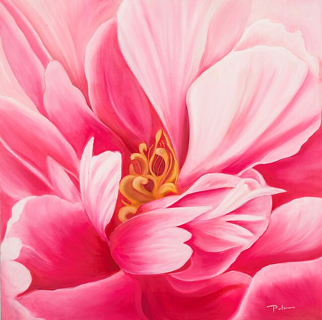 Pink peony, 2026