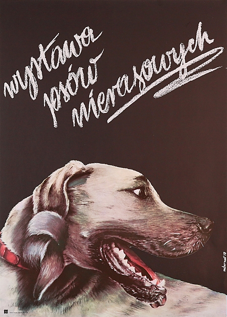 proj. Mirosława BERNAT