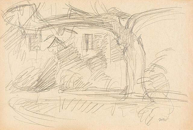 Stary orzech przy domu w Kalwarii, 1916