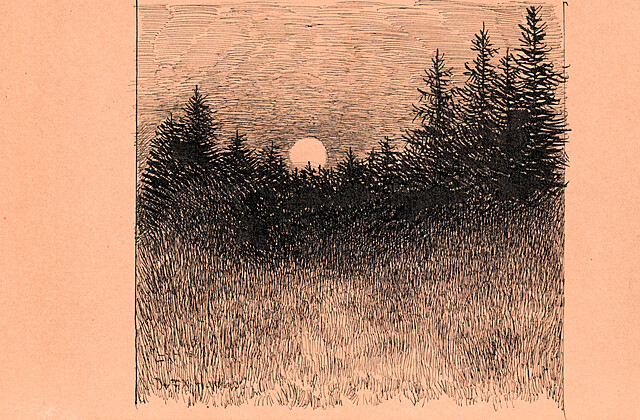 Zachód słońca nad lasem, ok. 1913