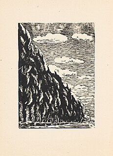 Topole IX