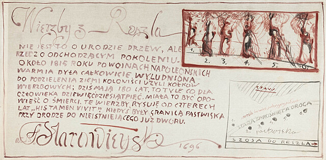 Wierzby z Reszla, 1996
