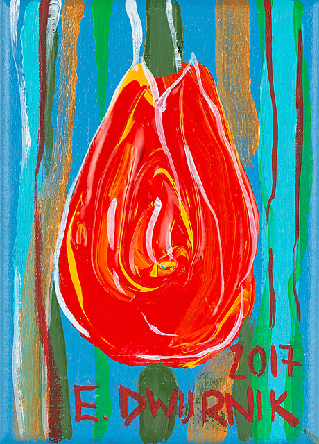 Tulipan, 2017