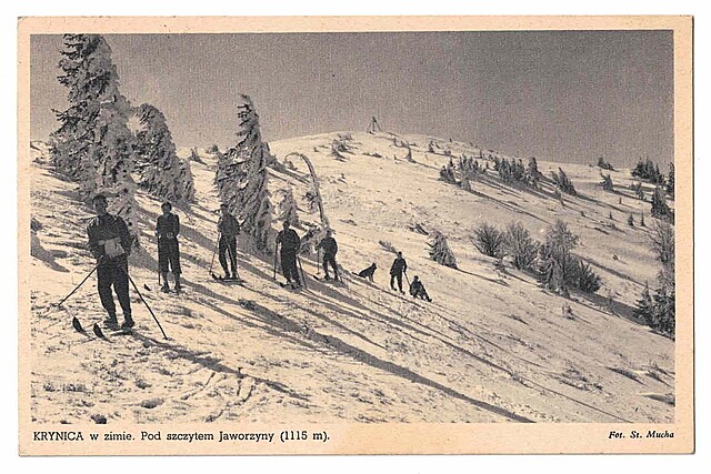 Krynica w zimie. Pod szczytem Jaworzyny (1115 m). Fot. St. Mucha.