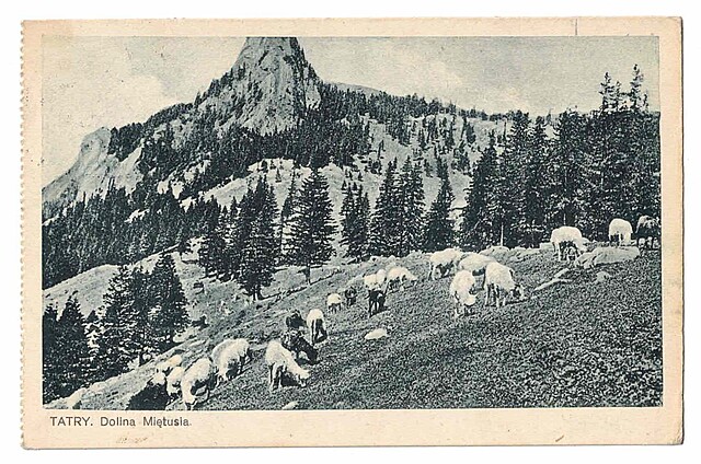 Tatry. Dolina Miętusia.