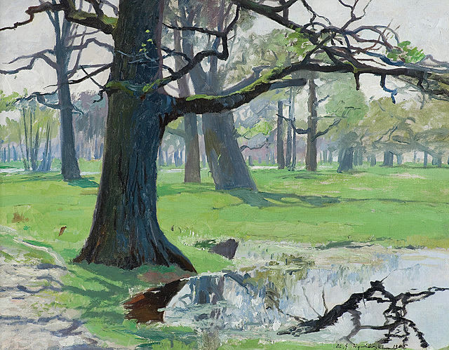 DĘBY NA ŁĄKACH, 1905