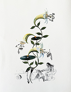  Lys (Lilium Musicum) from Flora Dalínae (FlorDalí)