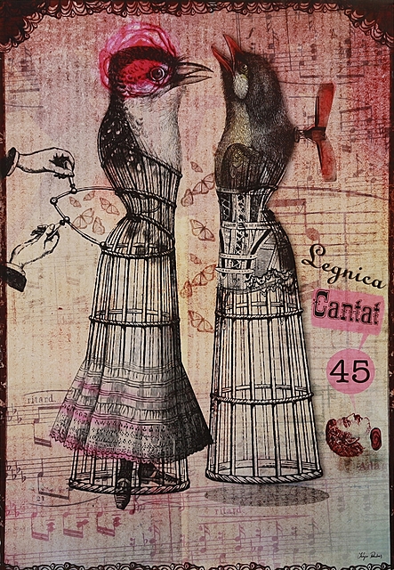 proj. Kaja RENKAS