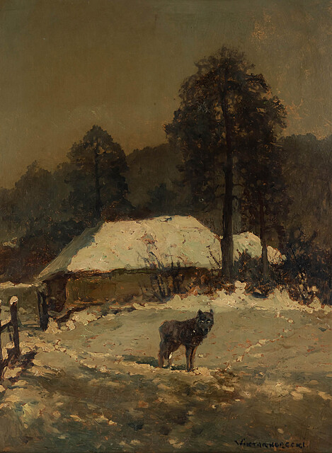 Wilk nocą