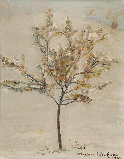 "Jabłoń - pierwszy śnieg" (1951)