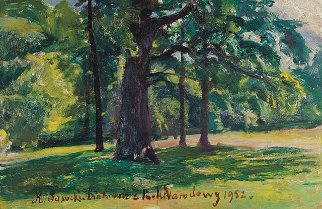 DĘBY W BIAŁOWIEŻY, 1952